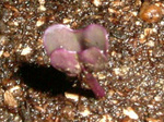 20060903002.jpg